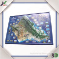 poster printing maps,plastic embossed picture